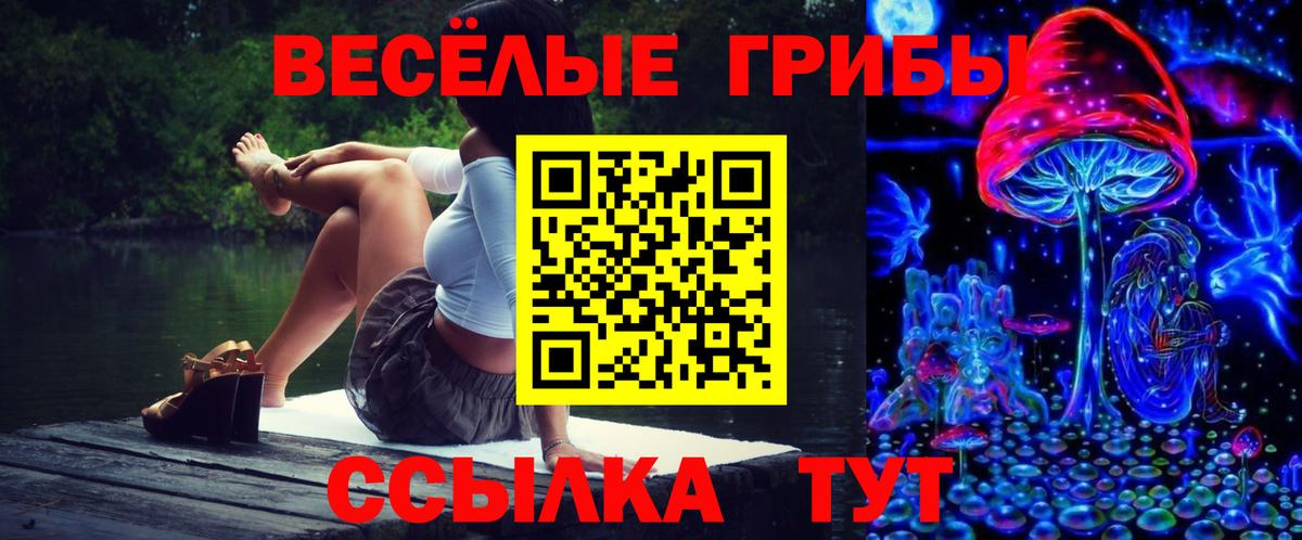 Псилоцибиновые грибы мухоморы  Вход с VPN  Миасс  Псилоцибиновые грибы прущие грибы 